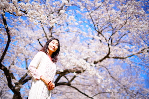 桜の下の女性の写真