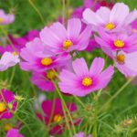 🎑教室からのお便り✉️